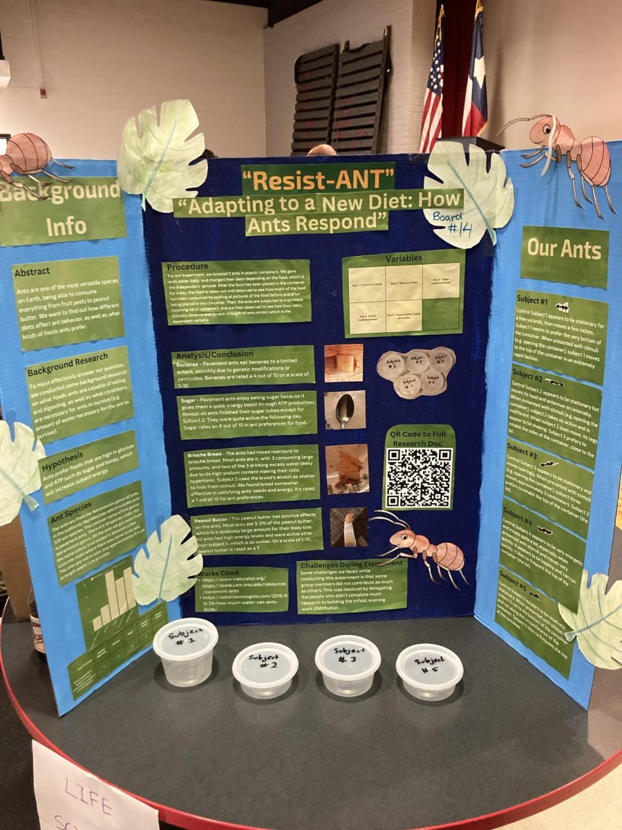 This project is attempting to find how different foods correlate to energy levels in ants.